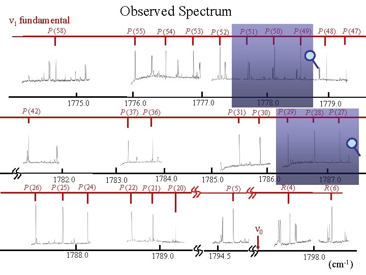 Observed Spectrum n 1 fundamental P (58) P (42) P (26) P (55) 1775.