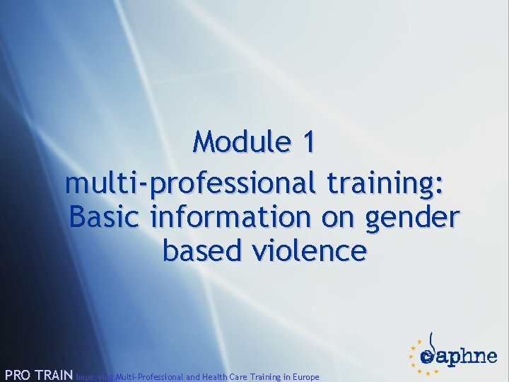 Module 1 multi-professional training: Basic information on gender based violence PRO TRAIN Improving Multi-Professional
