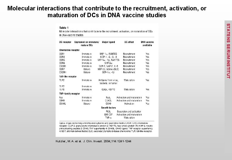 Molecular interactions that contribute to the recruitment, activation, or maturation of DCs in DNA