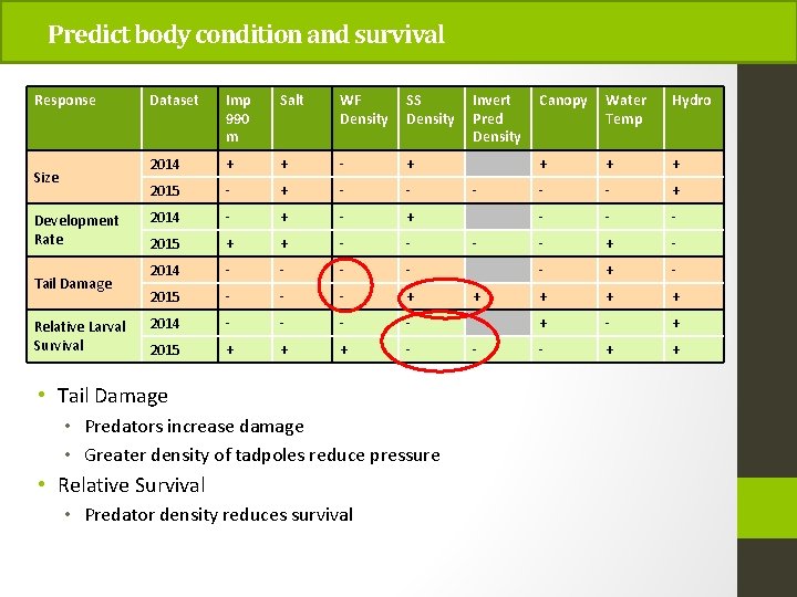 Predict body condition and survival Response Size Development Rate Tail Damage Relative Larval Survival