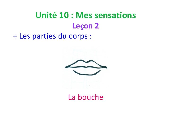 Unité 10 : Mes sensations Leçon 2 + Les parties du corps : La