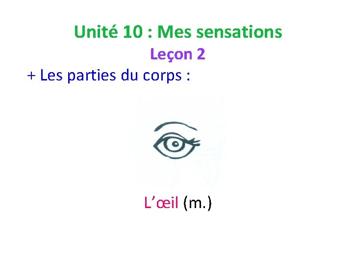 Unité 10 : Mes sensations Leçon 2 + Les parties du corps : L’œil