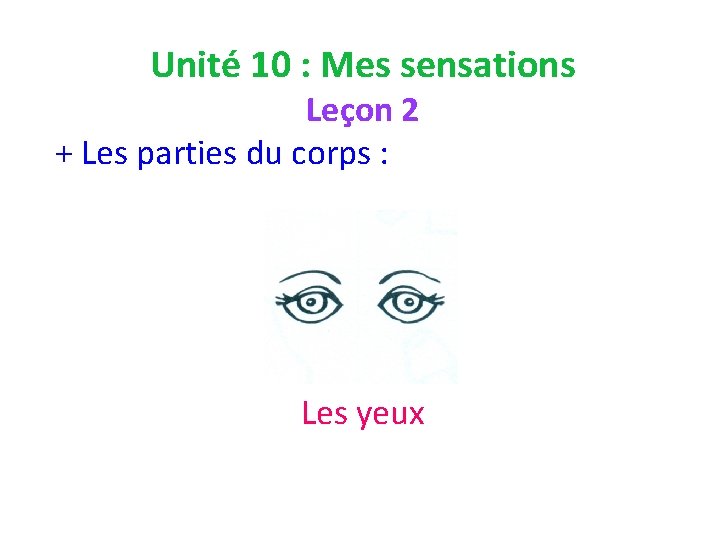 Unité 10 : Mes sensations Leçon 2 + Les parties du corps : Les