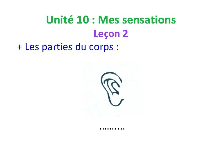 Unité 10 : Mes sensations Leçon 2 + Les parties du corps : …….