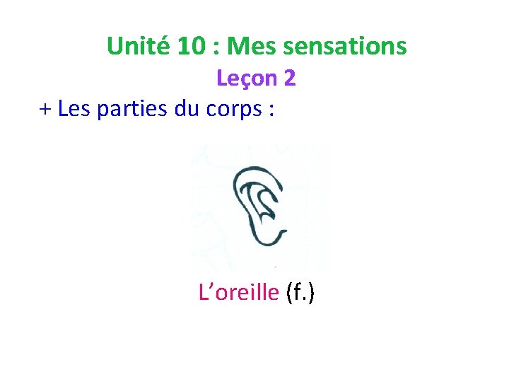 Unité 10 : Mes sensations Leçon 2 + Les parties du corps : L’oreille