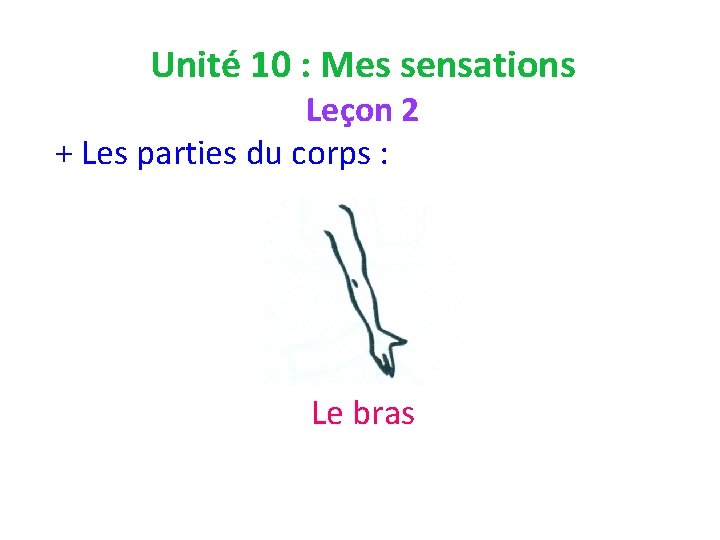 Unité 10 : Mes sensations Leçon 2 + Les parties du corps : Le