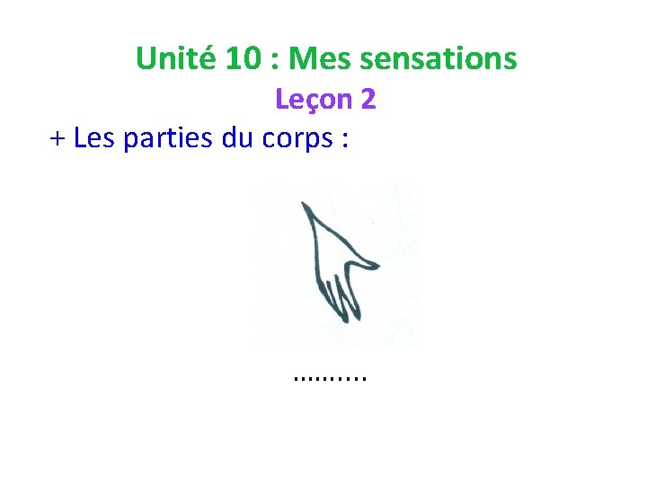 Unité 10 : Mes sensations Leçon 2 + Les parties du corps : …….