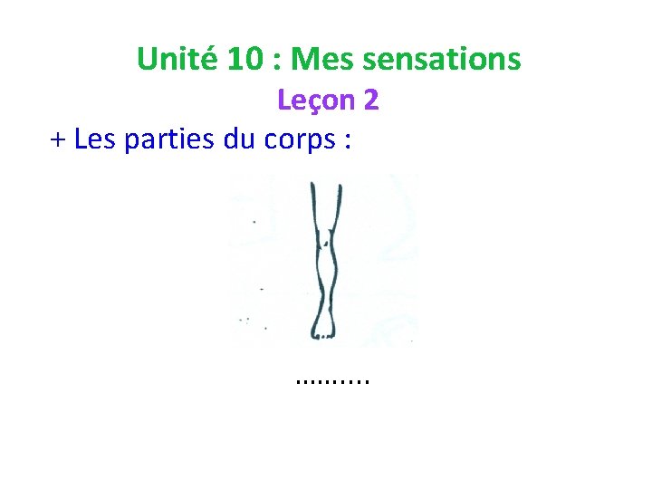 Unité 10 : Mes sensations Leçon 2 + Les parties du corps : …….