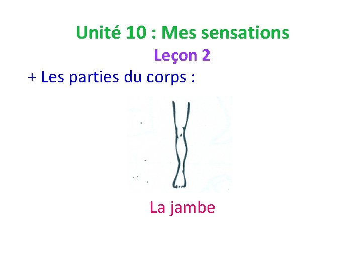 Unité 10 : Mes sensations Leçon 2 + Les parties du corps : La