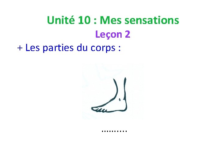 Unité 10 : Mes sensations Leçon 2 + Les parties du corps : …….