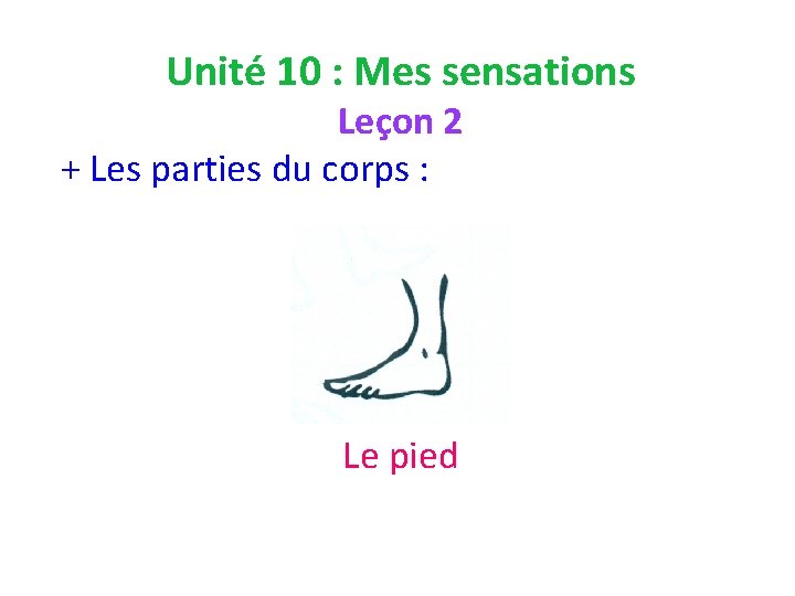 Unité 10 : Mes sensations Leçon 2 + Les parties du corps : Le