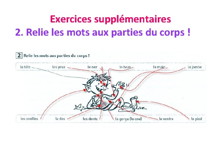 Exercices supplémentaires 2. Relie les mots aux parties du corps ! 