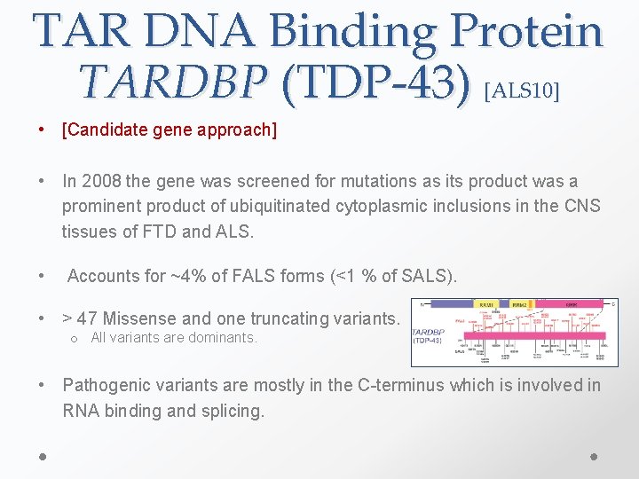 TAR DNA Binding Protein TARDBP (TDP-43) [ALS 10] • [Candidate gene approach] • In