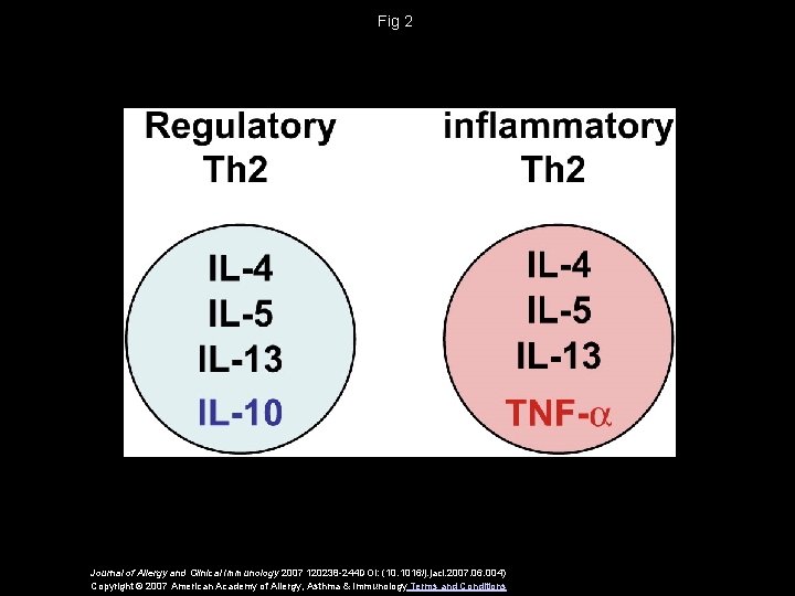Fig 2 Journal of Allergy and Clinical Immunology 2007 120238 -244 DOI: (10. 1016/j.
