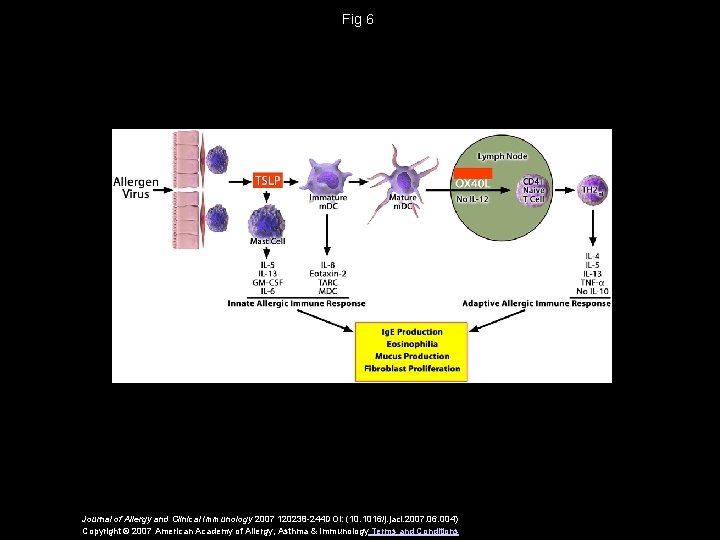 Fig 6 Journal of Allergy and Clinical Immunology 2007 120238 -244 DOI: (10. 1016/j.