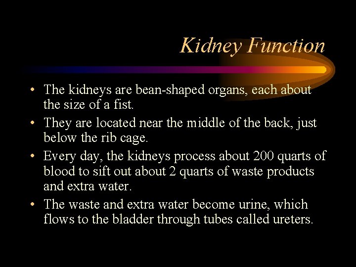 Kidney Function • The kidneys are bean-shaped organs, each about the size of a