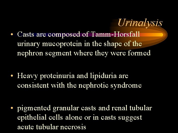 Urinalysis • Casts are composed of Tamm-Horsfall urinary mucoprotein in the shape of the