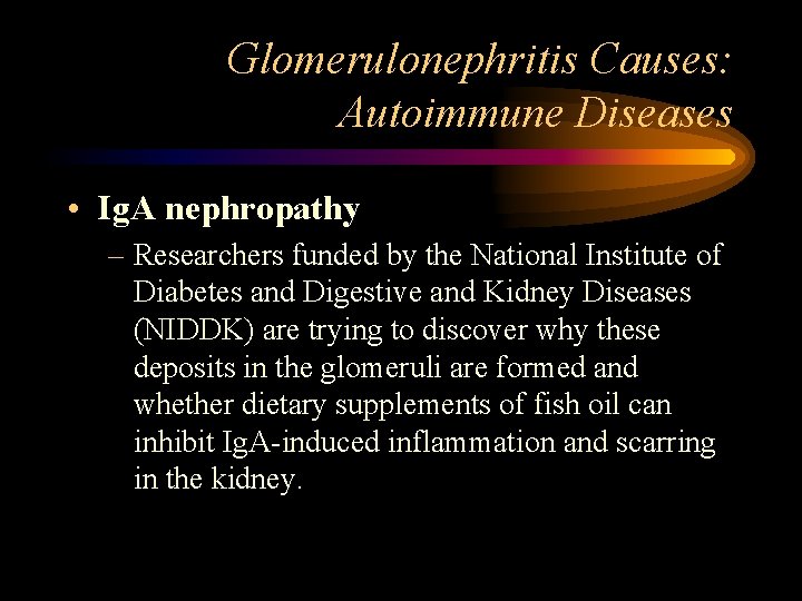 Glomerulonephritis Causes: Autoimmune Diseases • Ig. A nephropathy – Researchers funded by the National