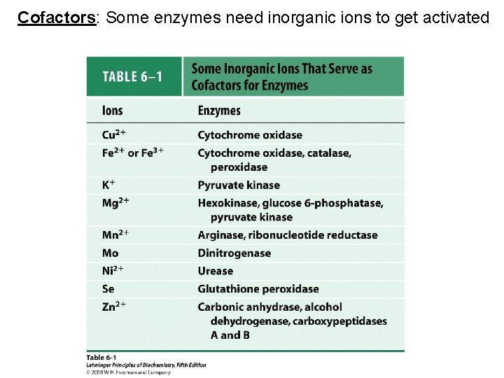 Cofactors: Some enzymes need inorganic ions to get activated 