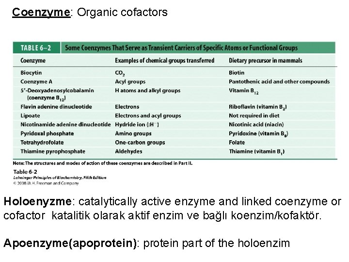 Coenzyme: Organic cofactors Holoenyzme: catalytically active enzyme and linked coenzyme or cofactor katalitik olarak