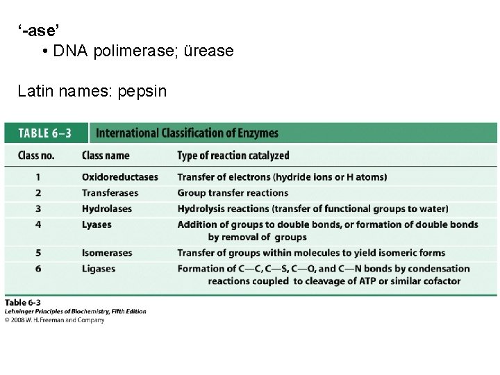 ‘-ase’ • DNA polimerase; ürease Latin names: pepsin 