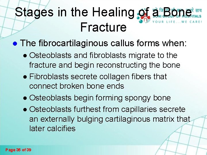 Fractures And Bone Healing Page 1 Of 39