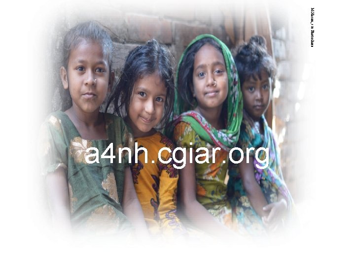 M. Hasan, c/o Photoshare a 4 nh. cgiar. org 