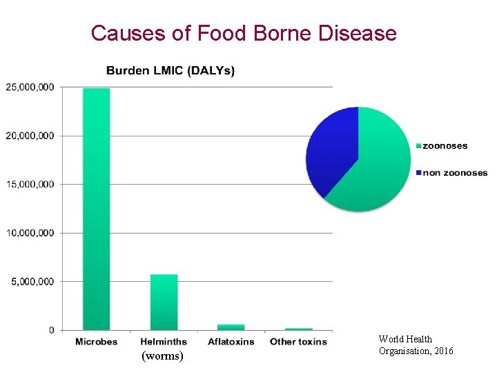 Causes of Food Borne Disease (worms) World Health Organisation, 2016 