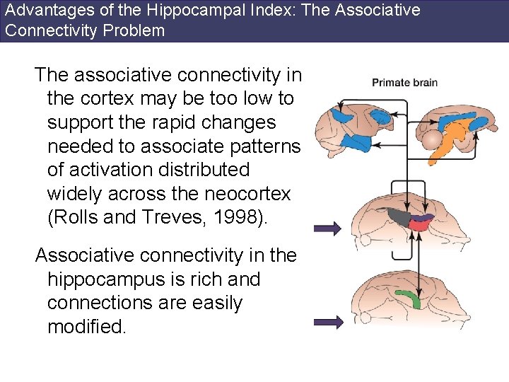 Advantages of the Hippocampal Index: The Associative Connectivity Problem The associative connectivity in the