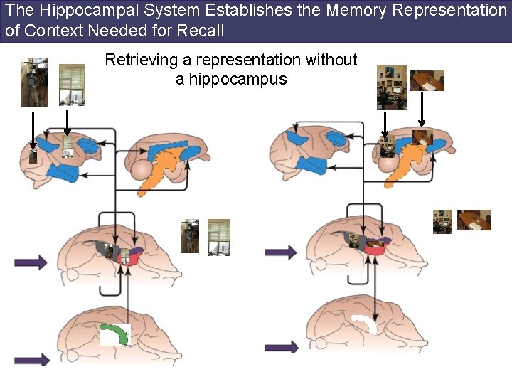 The Hippocampal System Establishes the Memory Representation of Context Needed for Recall Retrieving a