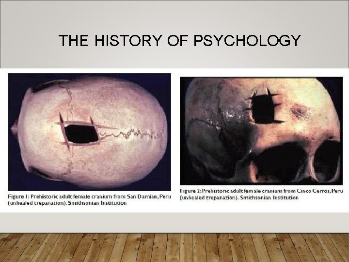 THE HISTORY OF PSYCHOLOGY 