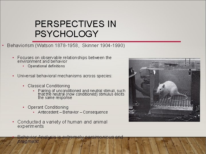 PERSPECTIVES IN PSYCHOLOGY • Behaviorism (Watson 1878 -1958, Skinner 1904 -1990) • Focuses on