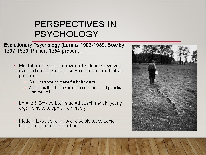 PERSPECTIVES IN PSYCHOLOGY Evolutionary Psychology (Lorenz 1903 -1989, Bowlby 1907 -1990, Pinker, 1954 -present)