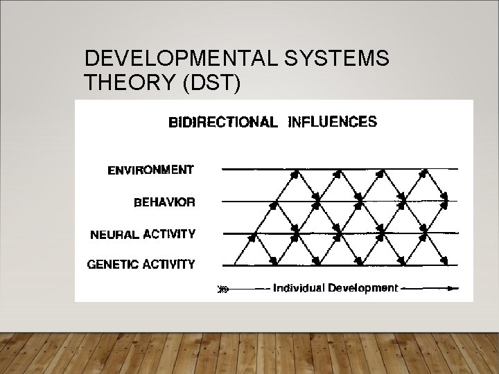 DEVELOPMENTAL SYSTEMS THEORY (DST) 
