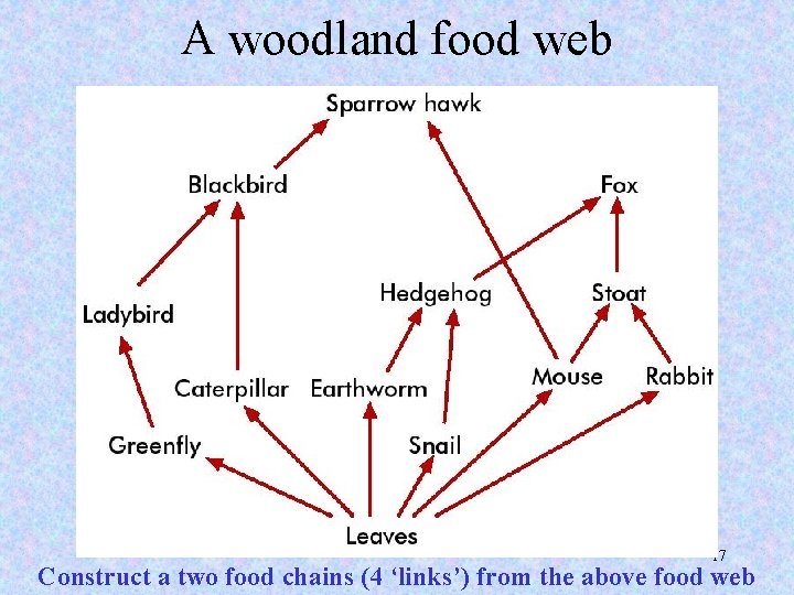 A woodland food web 17 Construct a two food chains (4 ‘links’) from the
