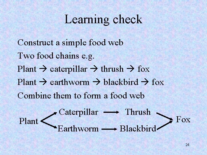 Learning check Construct a simple food web Two food chains e. g. Plant caterpillar
