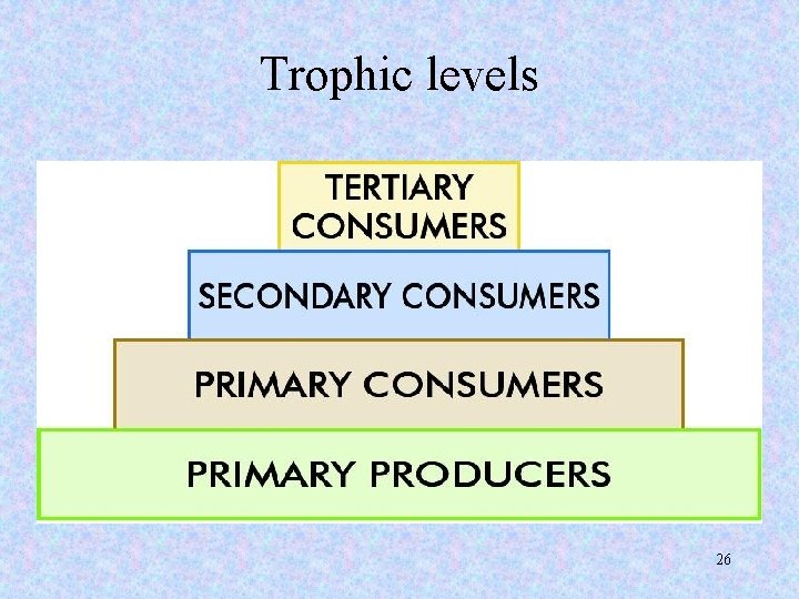 Trophic levels 26 