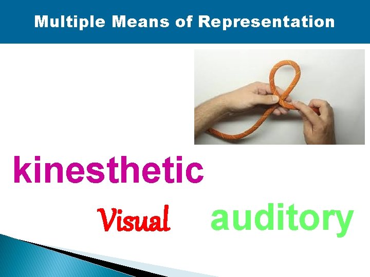 Multiple Means of Representation kinesthetic Visual auditory 
