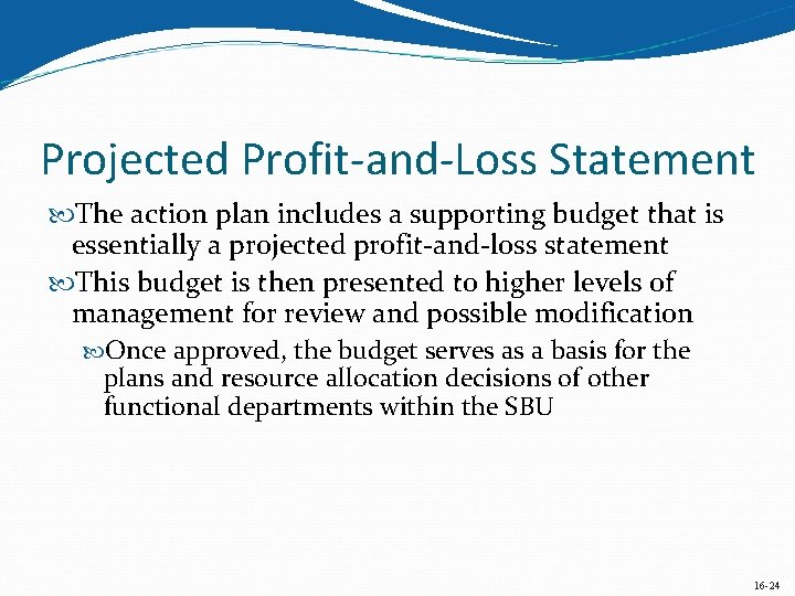 Projected Profit-and-Loss Statement The action plan includes a supporting budget that is essentially a