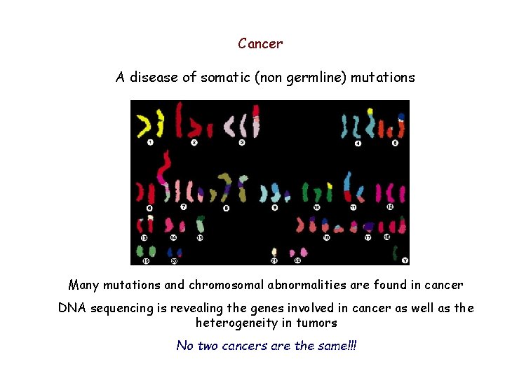 Cancer A disease of somatic (non germline) mutations Many mutations and chromosomal abnormalities are Cancer A disease of somatic (non germline) mutations Many mutations and chromosomal abnormalities are