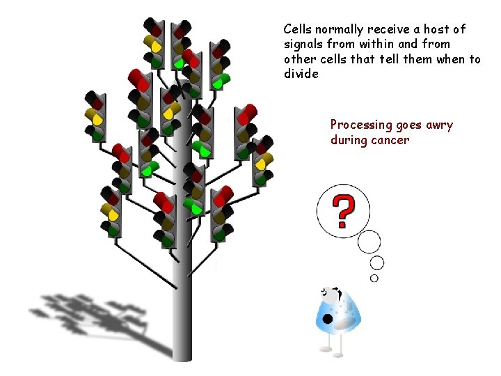 Cells normally receive a host of signals from within and from other cells that Cells normally receive a host of signals from within and from other cells that
