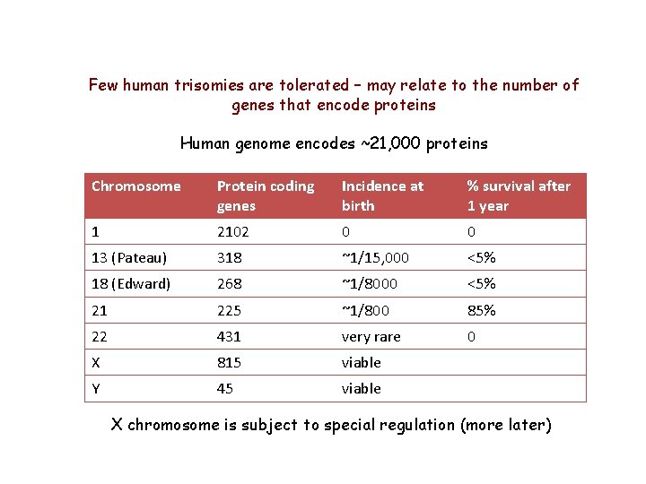 Few human trisomies are tolerated – may relate to the number of genes that Few human trisomies are tolerated – may relate to the number of genes that