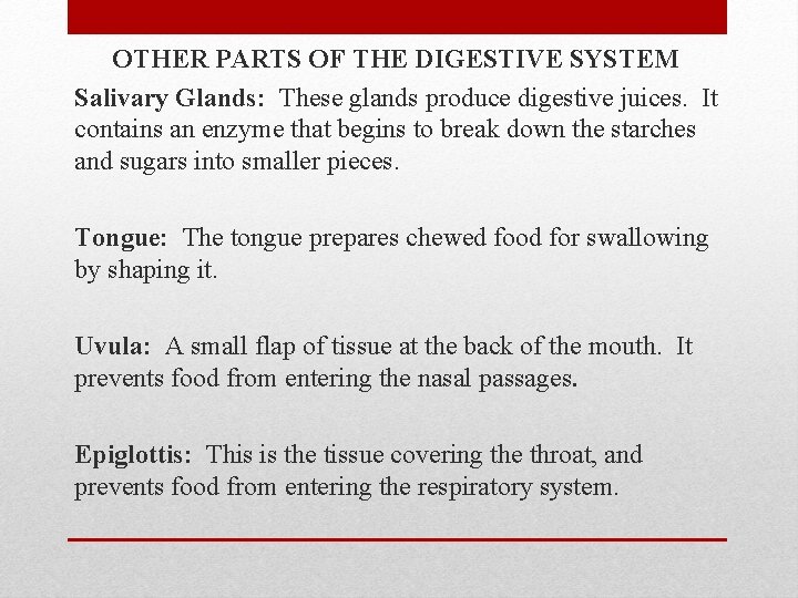 OTHER PARTS OF THE DIGESTIVE SYSTEM Salivary Glands: These glands produce digestive juices. It