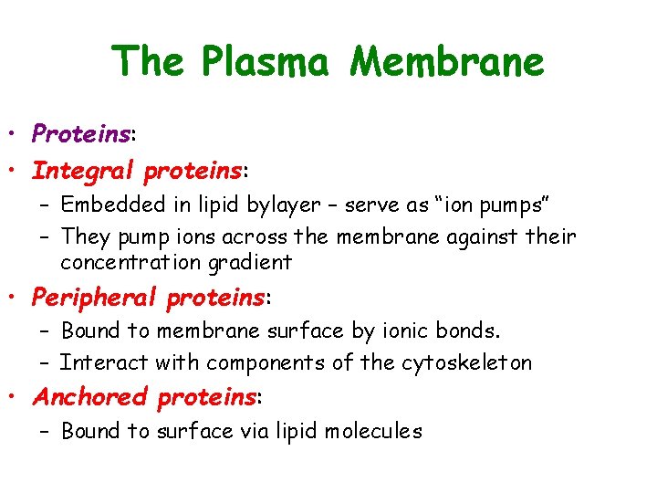The Plasma Membrane • Proteins: • Integral proteins: – Embedded in lipid bylayer –