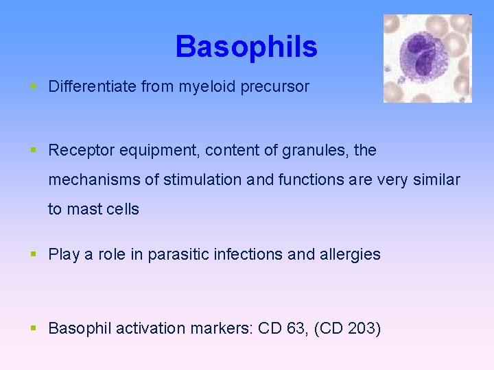 Basophils Differentiate from myeloid precursor Receptor equipment, content of granules, the mechanisms of stimulation