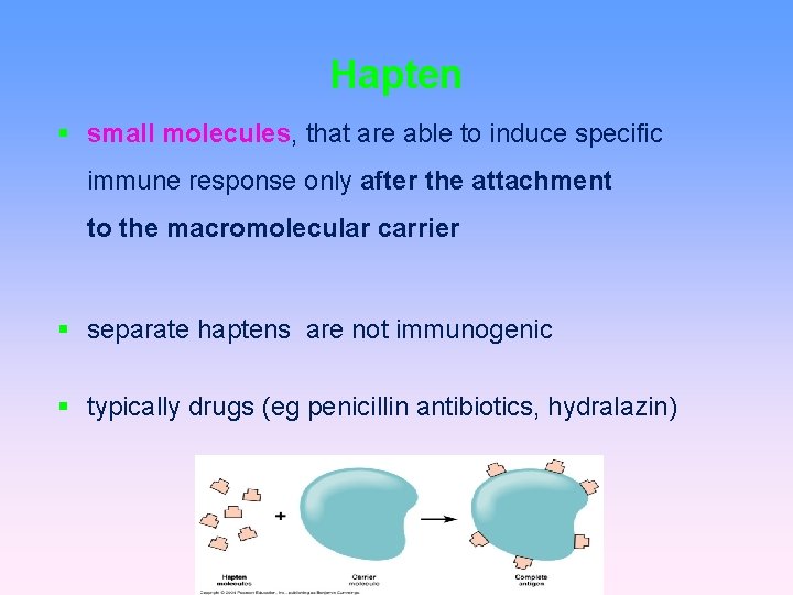 Hapten small molecules, that are able to induce specific immune response only after the