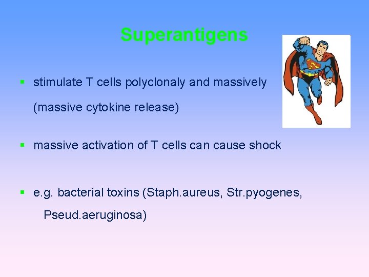Superantigens stimulate T cells polyclonaly and massively (massive cytokine release) massive activation of T