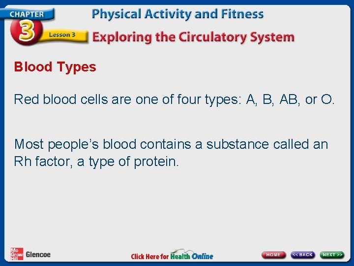 Blood Types Red blood cells are one of four types: A, B, AB, or