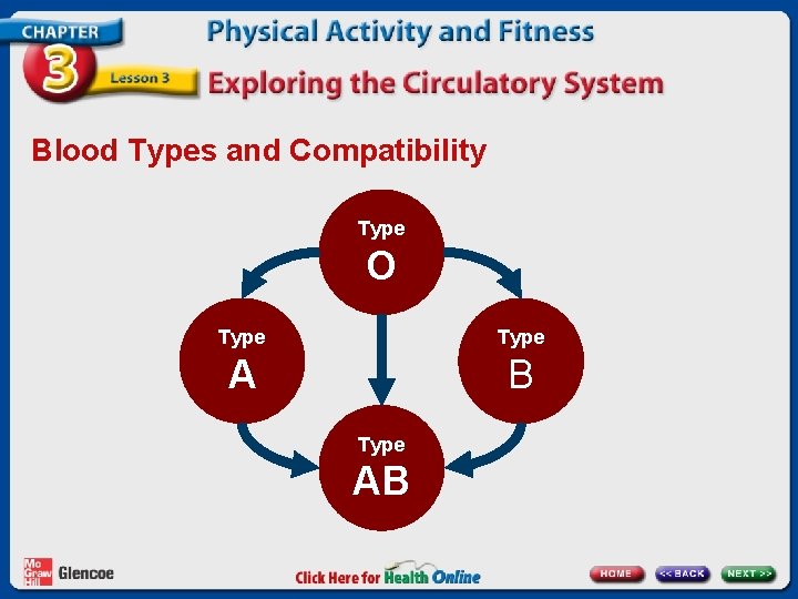 Blood Types and Compatibility Type O Type A B Type AB 
