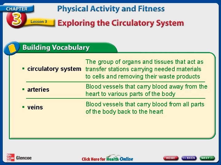 The group of organs and tissues that act as § circulatory system transfer stations